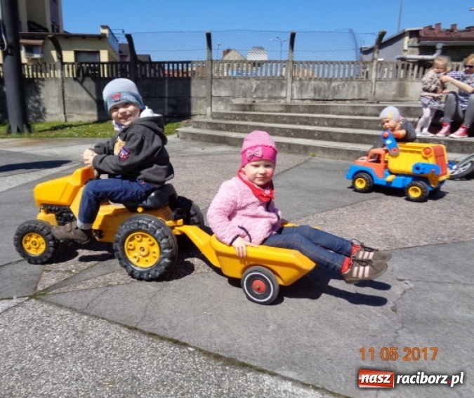 Zdjęcie w galerii na portalu naszraciborz.pl: Baw się z nami, Fikusiami  wiadomości z regionu