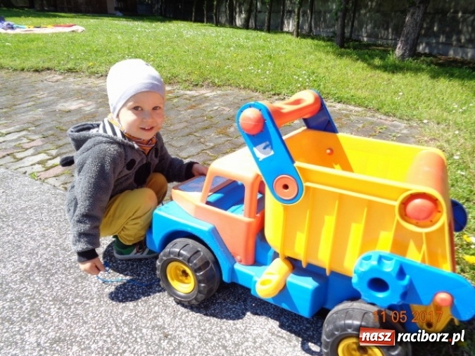 Zdjęcie w galerii na portalu naszraciborz.pl: Baw się z nami, Fikusiami  wiadomości z regionu