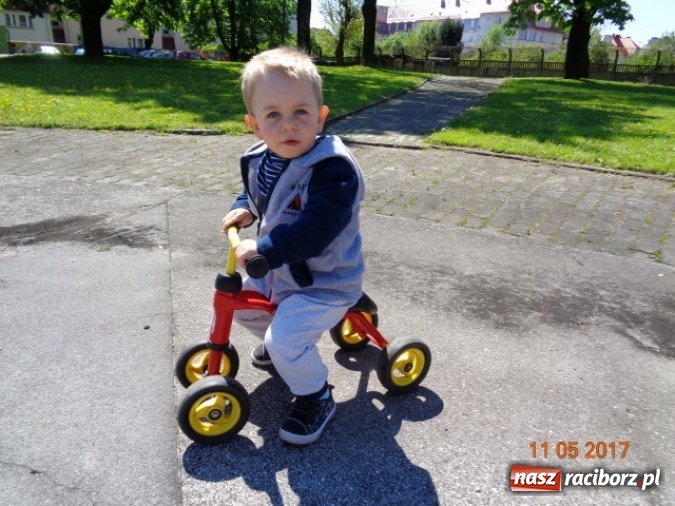 Zdjęcie w galerii na portalu naszraciborz.pl: Baw się z nami, Fikusiami  wiadomości z regionu