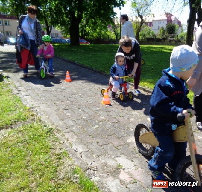 Zdjęcie w galerii na portalu naszraciborz.pl: Baw się z nami, Fikusiami  wiadomości z regionu