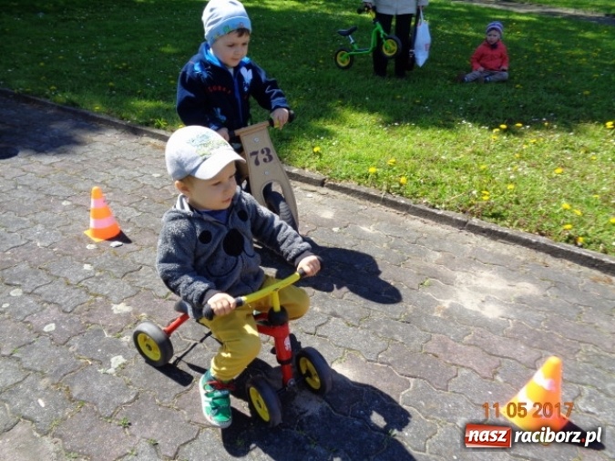 Zdjęcie w galerii na portalu naszraciborz.pl: Baw się z nami, Fikusiami  wiadomości z regionu