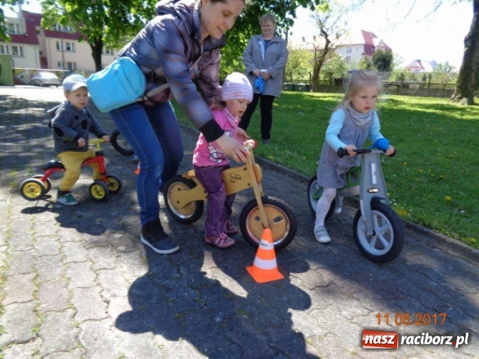 Zdjęcie w galerii na portalu naszraciborz.pl: Baw się z nami, Fikusiami  wiadomości z regionu