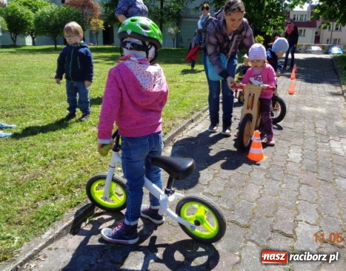 Zdjęcie w galerii na portalu naszraciborz.pl: Baw się z nami, Fikusiami  wiadomości z regionu