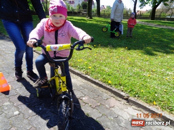 Zdjęcie w galerii na portalu naszraciborz.pl: Baw się z nami, Fikusiami  wiadomości z regionu