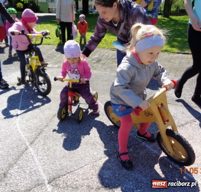 Zdjęcie w galerii na portalu naszraciborz.pl: Baw się z nami, Fikusiami  wiadomości z regionu