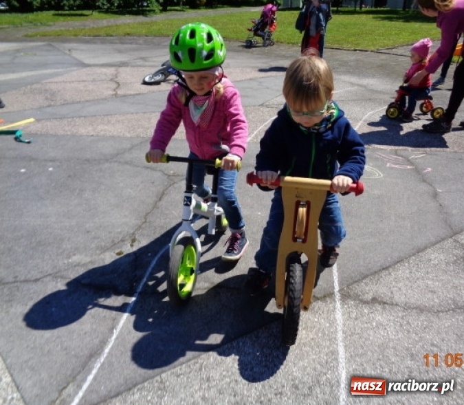 Zdjęcie w galerii na portalu naszraciborz.pl: Baw się z nami, Fikusiami  wiadomości z regionu