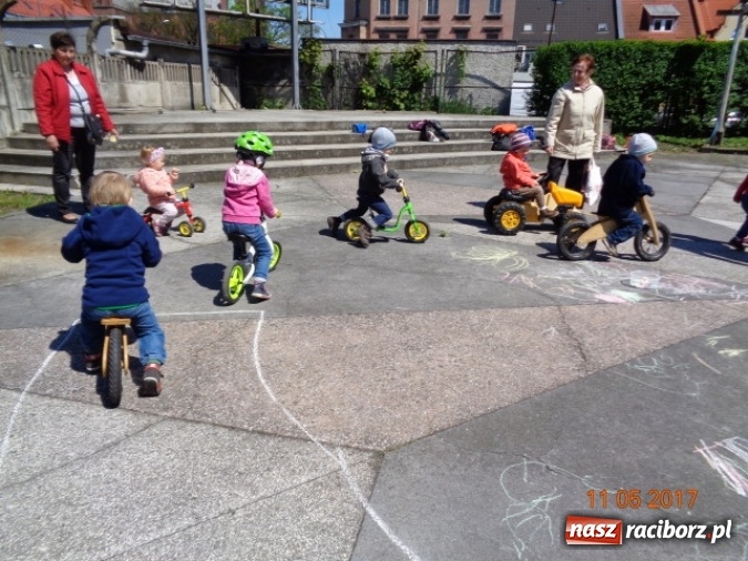 Zdjęcie w galerii na portalu naszraciborz.pl: Baw się z nami, Fikusiami  wiadomości z regionu