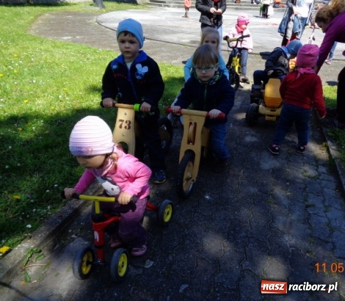 Zdjęcie w galerii na portalu naszraciborz.pl: Baw się z nami, Fikusiami  wiadomości z regionu