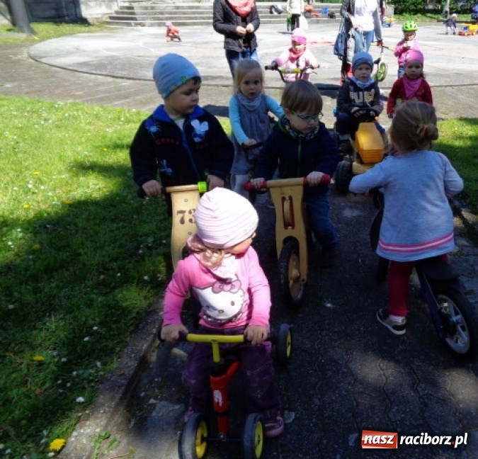 Zdjęcie w galerii na portalu naszraciborz.pl: Baw się z nami, Fikusiami  wiadomości z regionu