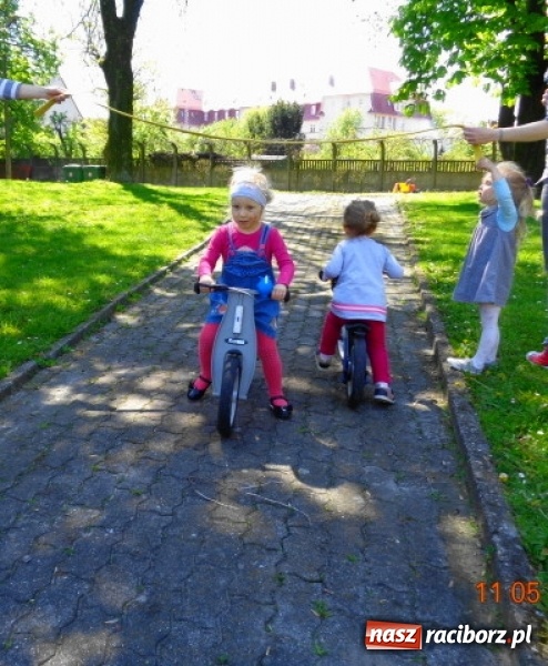 Zdjęcie w galerii na portalu naszraciborz.pl: Baw się z nami, Fikusiami  wiadomości z regionu