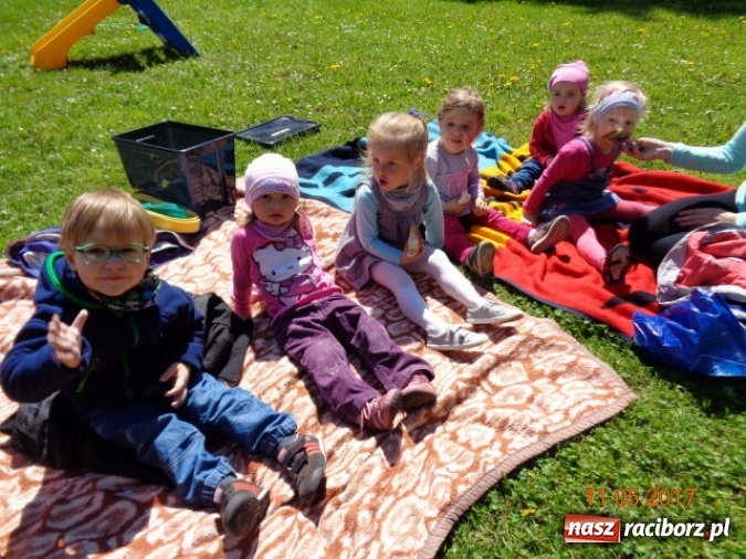 Zdjęcie w galerii na portalu naszraciborz.pl: Baw się z nami, Fikusiami  wiadomości z regionu