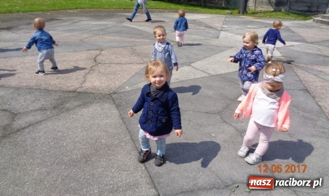 Zdjęcie w galerii na portalu naszraciborz.pl: Baw się z nami, Fikusiami  wiadomości z regionu