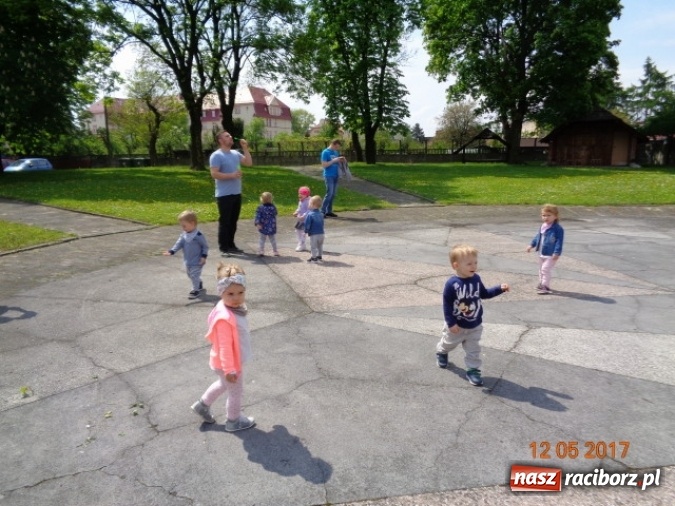 Zdjęcie w galerii na portalu naszraciborz.pl: Baw się z nami, Fikusiami  wiadomości z regionu
