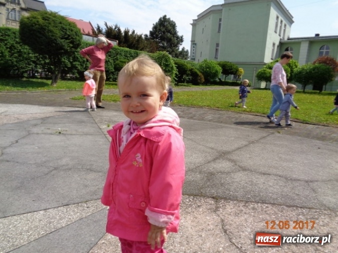Zdjęcie w galerii na portalu naszraciborz.pl: Baw się z nami, Fikusiami  wiadomości z regionu
