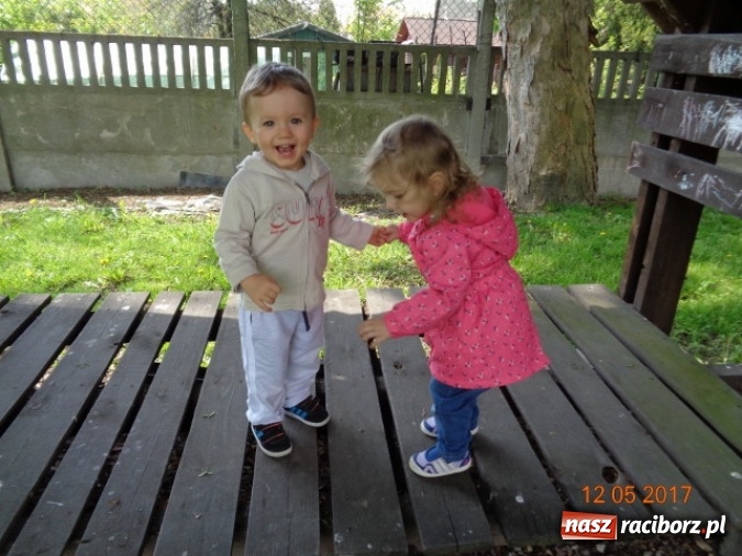 Zdjęcie w galerii na portalu naszraciborz.pl: Baw się z nami, Fikusiami  wiadomości z regionu