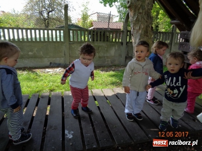 Zdjęcie w galerii na portalu naszraciborz.pl: Baw się z nami, Fikusiami  wiadomości z regionu