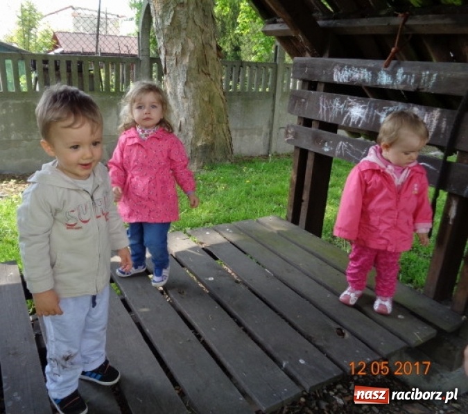 Zdjęcie w galerii na portalu naszraciborz.pl: Baw się z nami, Fikusiami  wiadomości z regionu