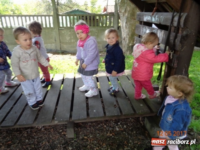 Zdjęcie w galerii na portalu naszraciborz.pl: Baw się z nami, Fikusiami  wiadomości z regionu