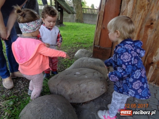 Zdjęcie w galerii na portalu naszraciborz.pl: Baw się z nami, Fikusiami  wiadomości z regionu