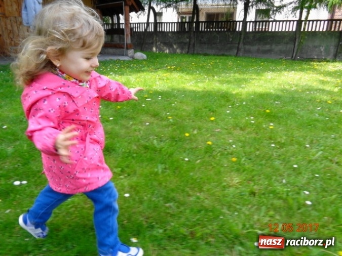 Zdjęcie w galerii na portalu naszraciborz.pl: Baw się z nami, Fikusiami  wiadomości z regionu