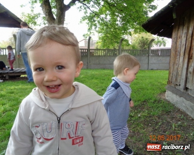 Zdjęcie w galerii na portalu naszraciborz.pl: Baw się z nami, Fikusiami  wiadomości z regionu