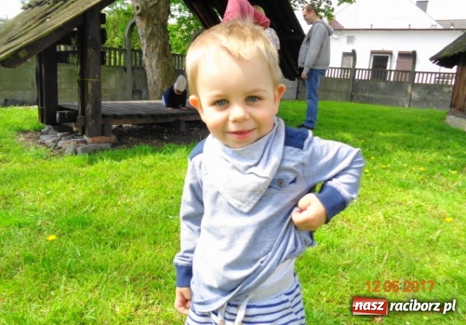 Zdjęcie w galerii na portalu naszraciborz.pl: Baw się z nami, Fikusiami  wiadomości z regionu