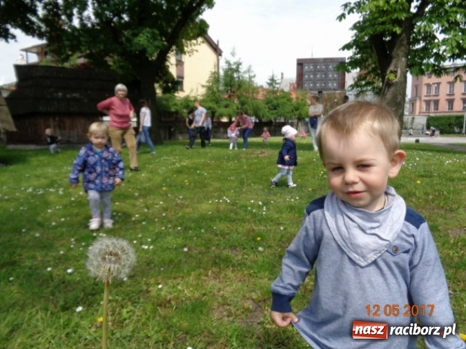 Zdjęcie w galerii na portalu naszraciborz.pl: Baw się z nami, Fikusiami  wiadomości z regionu