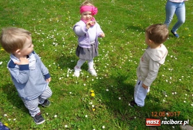 Zdjęcie w galerii na portalu naszraciborz.pl: Baw się z nami, Fikusiami  wiadomości z regionu