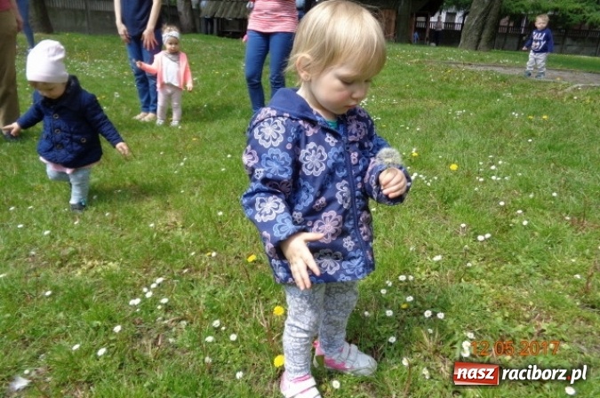 Zdjęcie w galerii na portalu naszraciborz.pl: Baw się z nami, Fikusiami  wiadomości z regionu