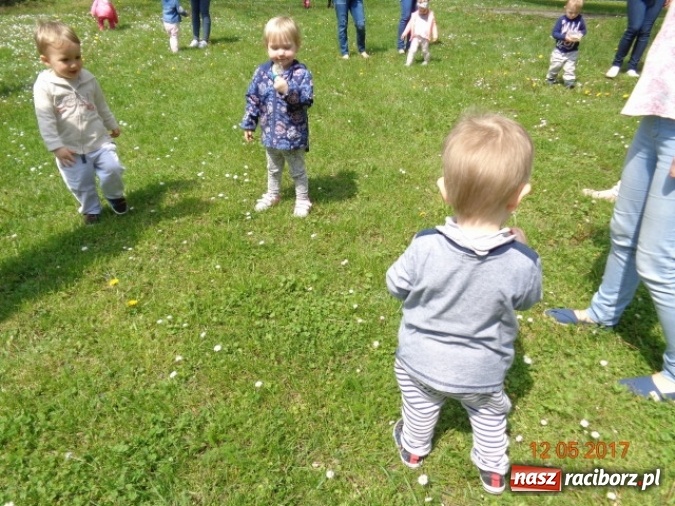 Zdjęcie w galerii na portalu naszraciborz.pl: Baw się z nami, Fikusiami  wiadomości z regionu