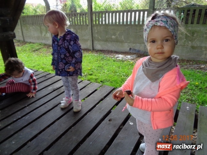 Zdjęcie w galerii na portalu naszraciborz.pl: Baw się z nami, Fikusiami  wiadomości z regionu