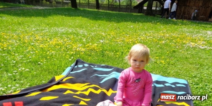 Zdjęcie w galerii na portalu naszraciborz.pl: Baw się z nami, Fikusiami  wiadomości z regionu