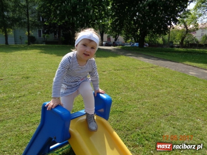 Zdjęcie w galerii na portalu naszraciborz.pl: Baw się z nami, Fikusiami  wiadomości z regionu