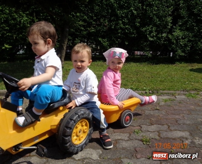 Zdjęcie w galerii na portalu naszraciborz.pl: Baw się z nami, Fikusiami  wiadomości z regionu