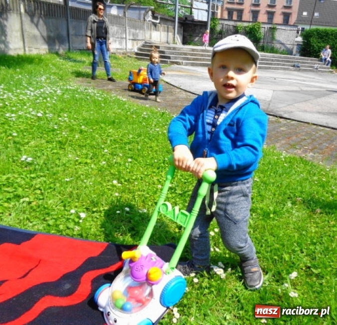 Zdjęcie w galerii na portalu naszraciborz.pl: Baw się z nami, Fikusiami  wiadomości z regionu