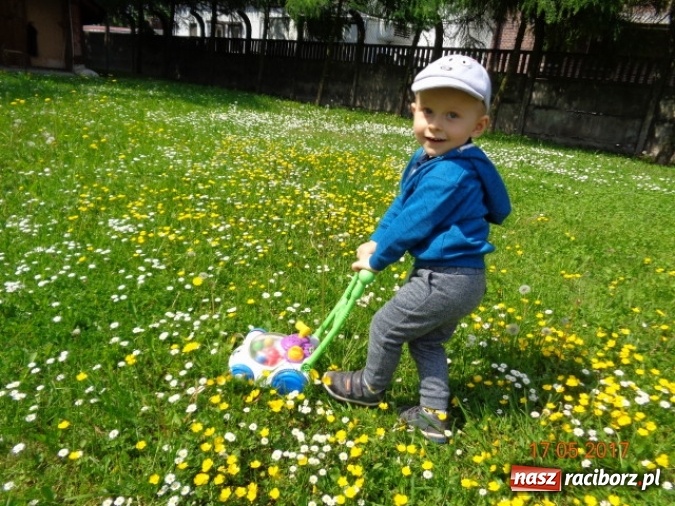 Zdjęcie w galerii na portalu naszraciborz.pl: Baw się z nami, Fikusiami  wiadomości z regionu