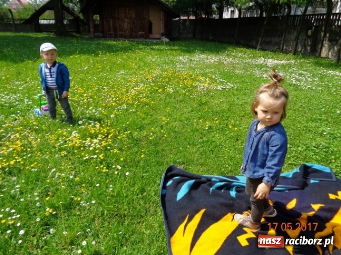 Zdjęcie w galerii na portalu naszraciborz.pl: Baw się z nami, Fikusiami  wiadomości z regionu