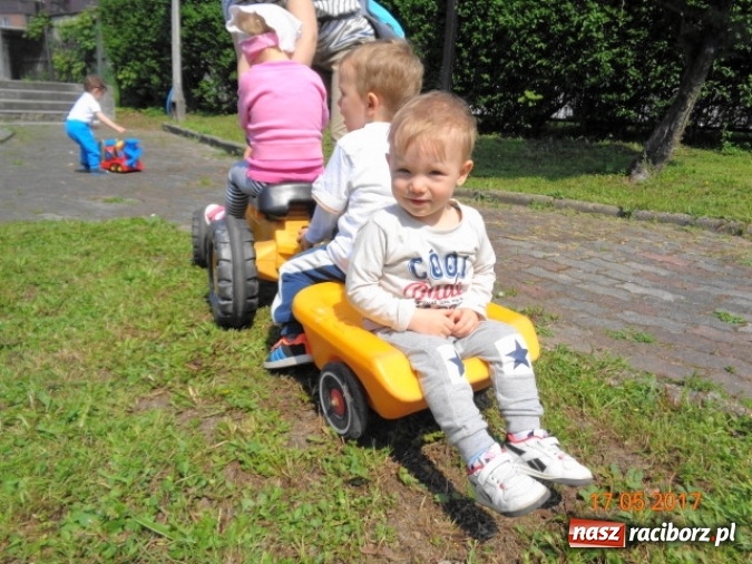 Zdjęcie w galerii na portalu naszraciborz.pl: Baw się z nami, Fikusiami  wiadomości z regionu