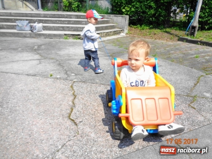 Zdjęcie w galerii na portalu naszraciborz.pl: Baw się z nami, Fikusiami  wiadomości z regionu