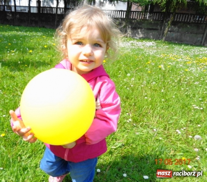 Zdjęcie w galerii na portalu naszraciborz.pl: Baw się z nami, Fikusiami  wiadomości z regionu