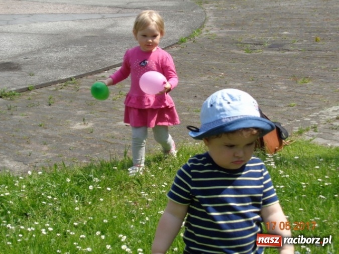 Zdjęcie w galerii na portalu naszraciborz.pl: Baw się z nami, Fikusiami  wiadomości z regionu
