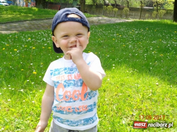 Zdjęcie w galerii na portalu naszraciborz.pl: Baw się z nami, Fikusiami  wiadomości z regionu