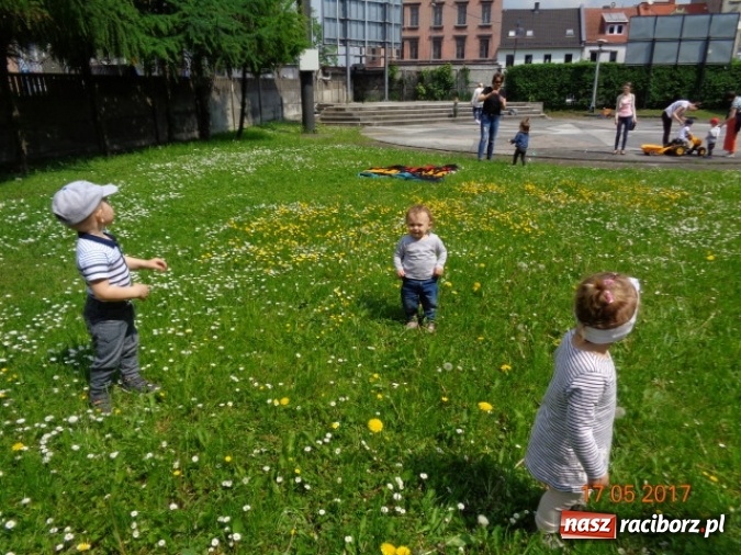 Zdjęcie w galerii na portalu naszraciborz.pl: Baw się z nami, Fikusiami  wiadomości z regionu