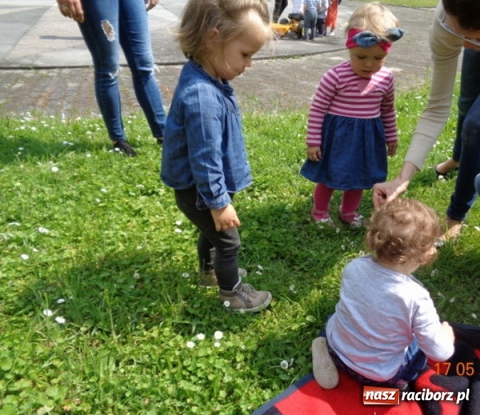 Zdjęcie w galerii na portalu naszraciborz.pl: Baw się z nami, Fikusiami  wiadomości z regionu