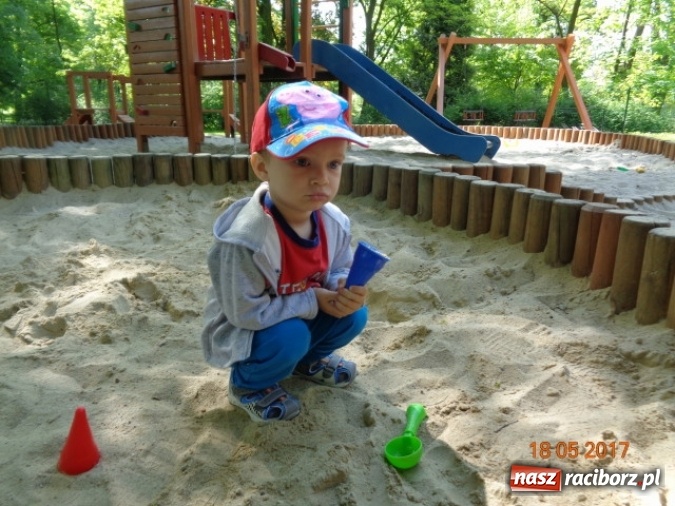 Zdjęcie w galerii na portalu naszraciborz.pl: Baw się z nami, Fikusiami  wiadomości z regionu