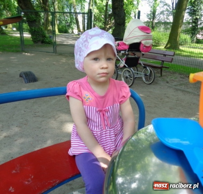 Zdjęcie w galerii na portalu naszraciborz.pl: Baw się z nami, Fikusiami  wiadomości z regionu