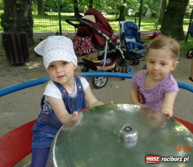 Zdjęcie w galerii na portalu naszraciborz.pl: Baw się z nami, Fikusiami  wiadomości z regionu