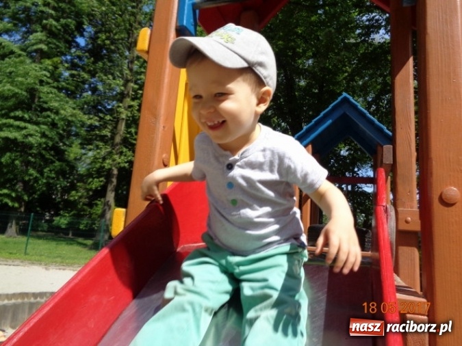 Zdjęcie w galerii na portalu naszraciborz.pl: Baw się z nami, Fikusiami  wiadomości z regionu