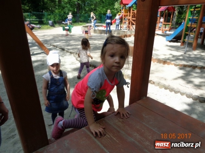 Zdjęcie w galerii na portalu naszraciborz.pl: Baw się z nami, Fikusiami  wiadomości z regionu