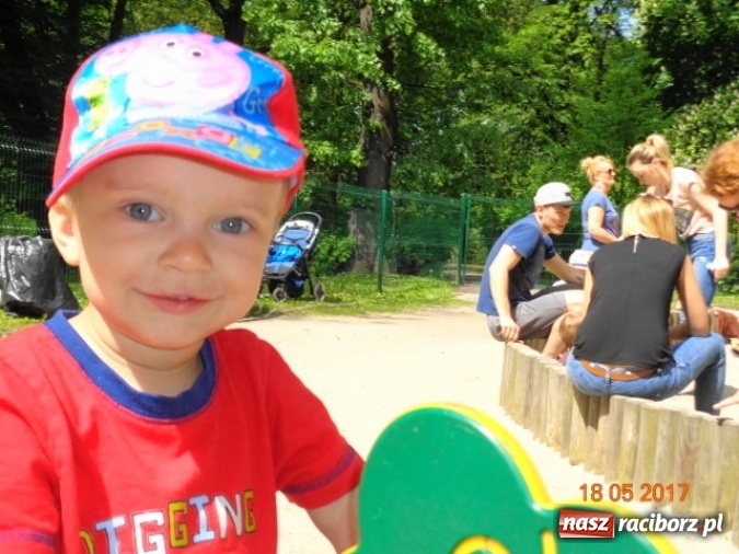 Zdjęcie w galerii na portalu naszraciborz.pl: Baw się z nami, Fikusiami  wiadomości z regionu